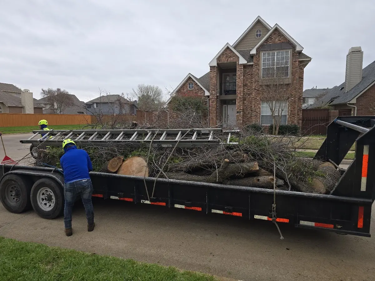 Expert Crown Reduction with proper safety equipment in Lake Linden